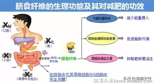 “更年期”常识攻略大全，为了身边的女性了解一下吧！