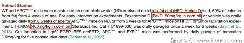 老鼠的研究：高脂饮食导致癌症？
