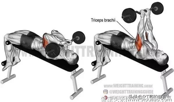 【说动作】超全肌肉训练图解，告别瞎练从此健身不求人！