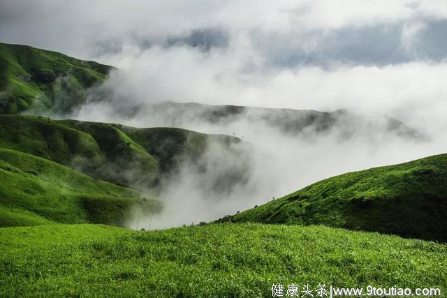 三月减肥良方，帮你五月不伤悲