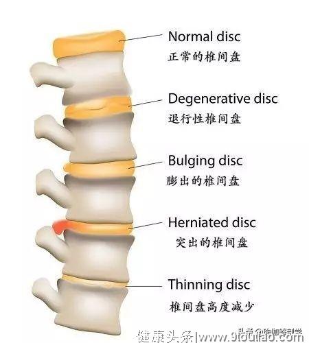 瑜伽可以让人长高的秘密是什么？