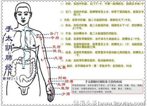 感冒咳嗽不必慌！医生建议：常按肺经3大穴位，除百病，身体棒！