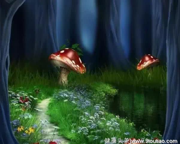 心理测试：四片蘑菇森林，你最想去哪一片？测你的真爱在哪里！