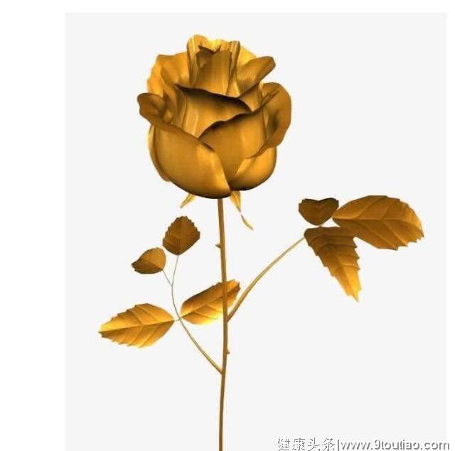 心理测试：4朵金玫瑰，你喜欢哪个？测你遇见真爱的指数