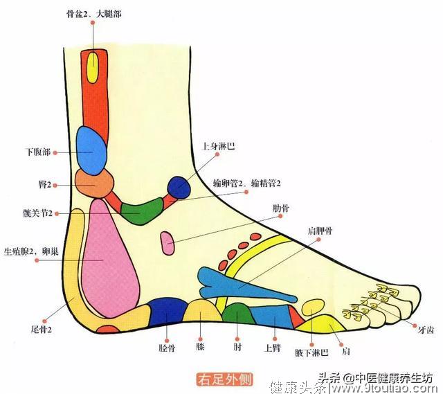 经络不通，谈什么养生？自我按摩帮您解决！