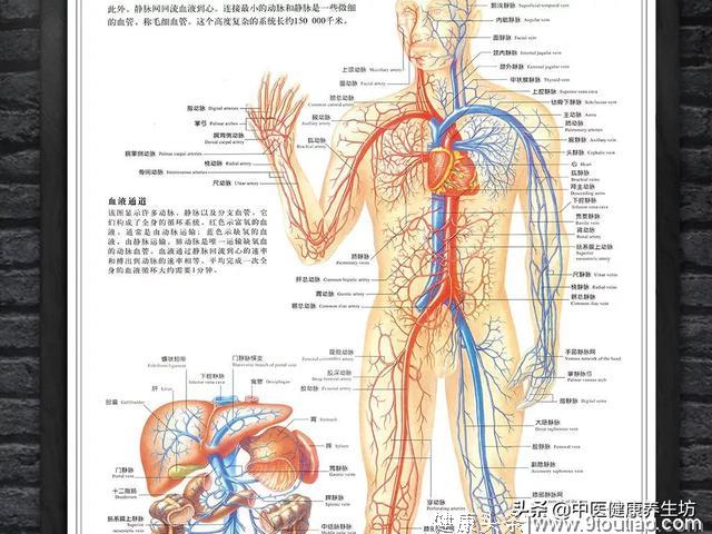 经络不通，谈什么养生？自我按摩帮您解决！