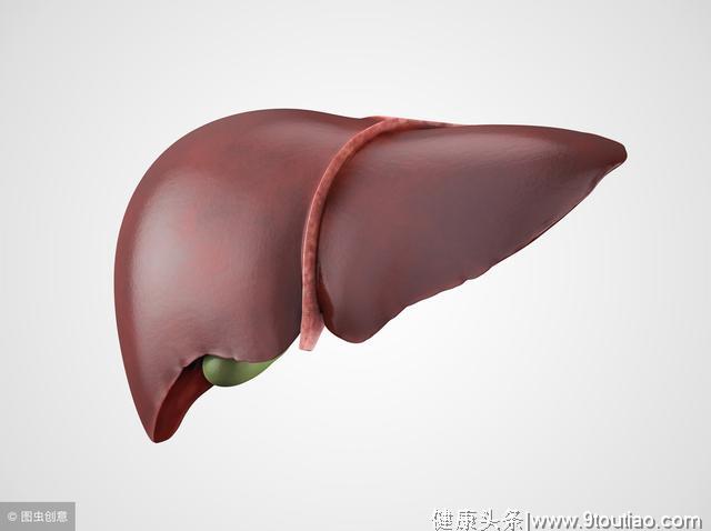 中医养生：肝不好看外表就知道、身体3处透露肝脏健康状态！