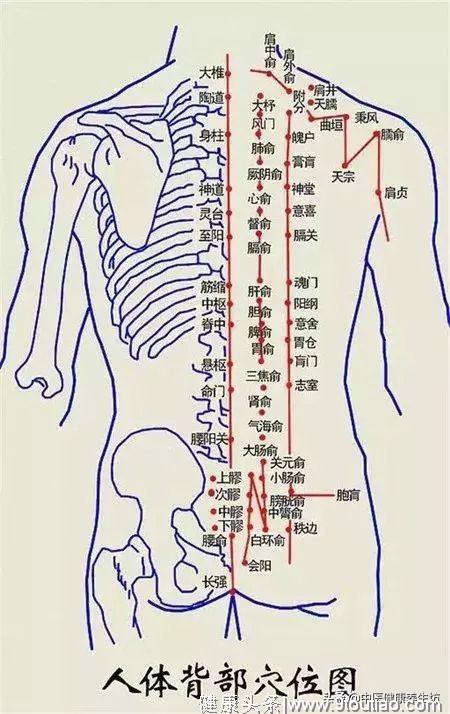 疏通一条经络线，很多疾病，不知不觉中消失了！