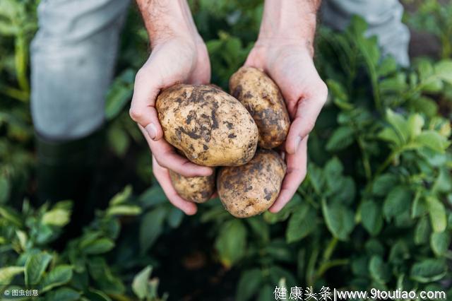 高血糖、高血脂、高血压患者，应该如何吃主食？