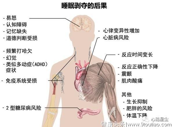 辟谣！睡前喝红酒有助于睡眠吗？经常失眠应该怎么办？