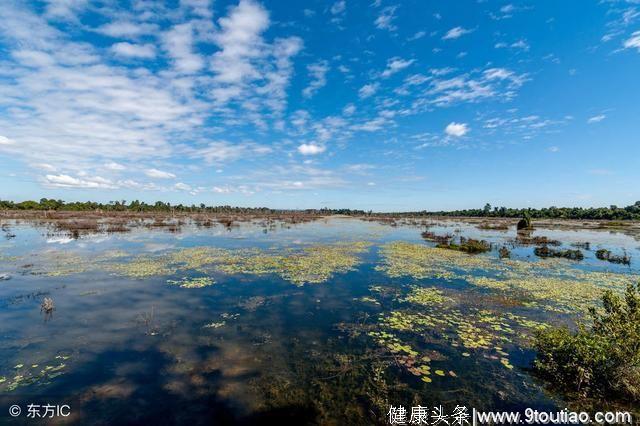 心理测试：测测你的心理年龄是老人还是小朋友？你最想去哪个景点