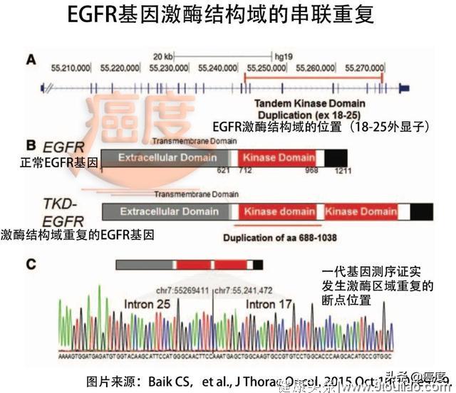 四次复发，六变治疗方案，存活20年的抗癌奇迹！