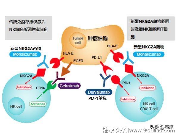 《细胞》重磅：新药有望大幅度提高PD-1有效率！