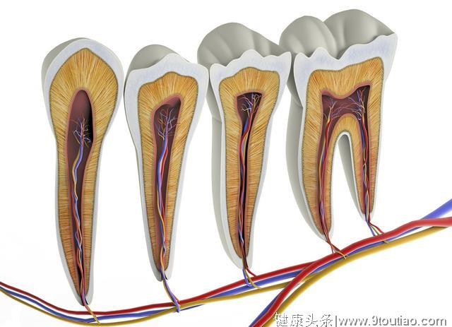 矫正牙齿会伤到牙神经？