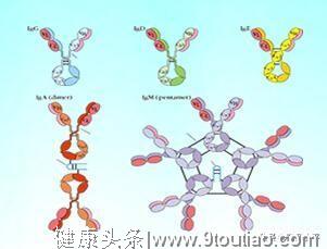 感冒和过敏性鼻炎傻傻分不清，难怪一直治不好