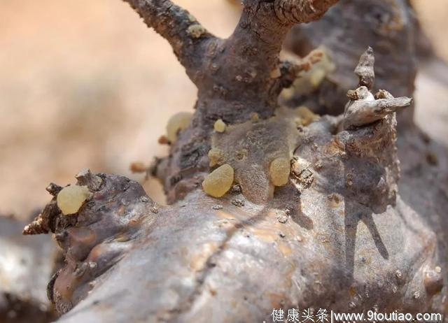 这支获奖无数的牙膏，把幽门螺旋杆菌杀死在口腔里，从此远离胃病