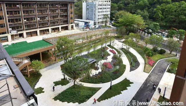 深圳开了全国首家“纯中医”医院，它究竟有哪些特色？