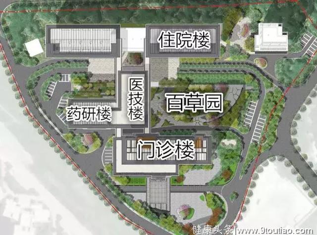 深圳开了全国首家“纯中医”医院，它究竟有哪些特色？