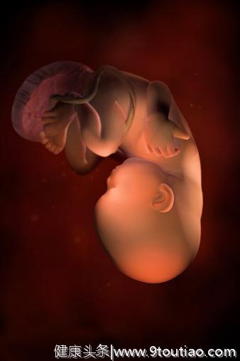 怀孕36周后，孕妈这两件事经常做，对胎儿顺利入盆有帮助