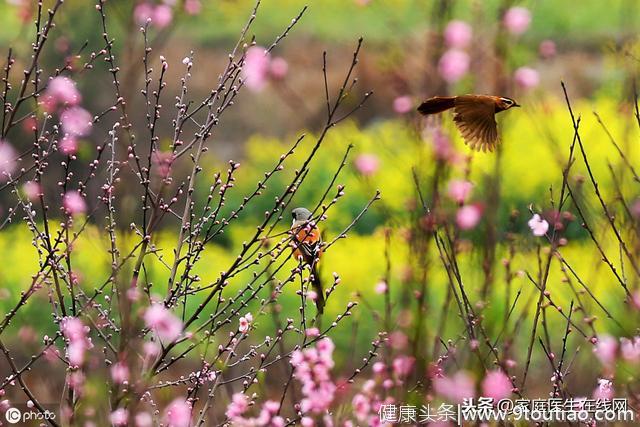 春分时节怎么养生？做好这些小事，你也是养生达人