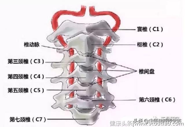 颈椎病会给你带来哪些危害？现在知道还不晚！赶紧看看吧！