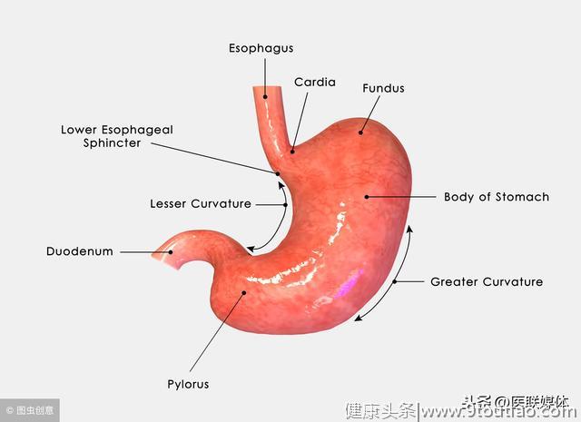 患上胃癌，整个胃都切掉了？医生：饮食注意3点就可以了