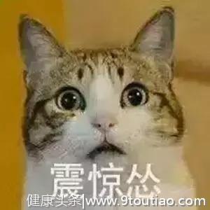 猫味、狗味能防癌？以后吸猫撸狗有正当理由了！