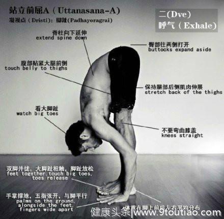 不了解这八种体式，就别说自己练过瑜伽！