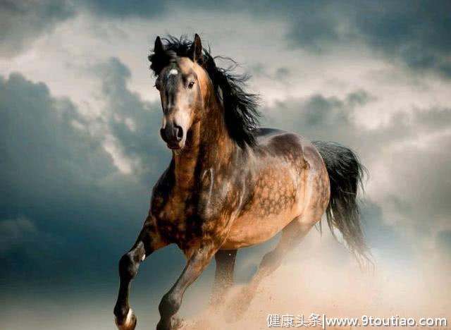 心理测试:你认为最快的马，测前任是否照你的标准来找一个伴侣
