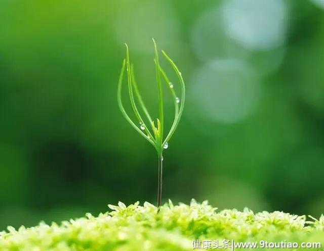 春分时节易发流感，这些养生事项须记牢