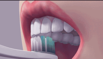 科普：世界最标准刷牙姿势——Bass刷牙法