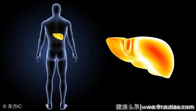 4种食物是脂肪肝克星，能让脂肪肝不药而愈，可惜很多人一口不吃