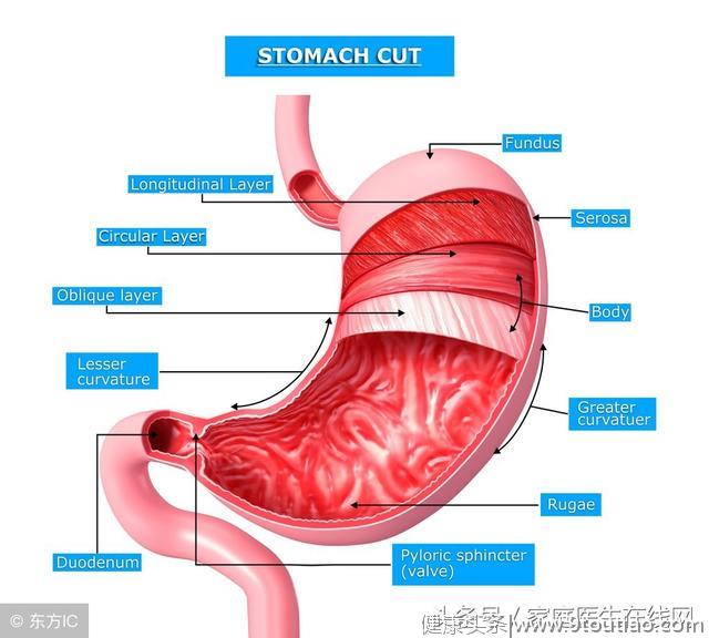 出现这3个症状，不是简单的肠道疾病，可能是胃癌突袭了