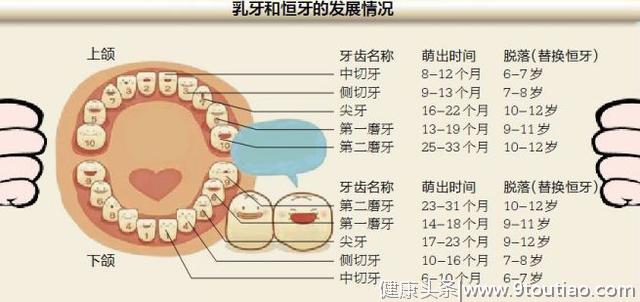 换牙风俗，你的牙齿是扔在房顶上了吗？