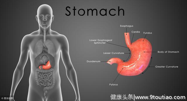 体检做胃镜发现胃内黏膜下肿物，不是胃癌，是什么？
