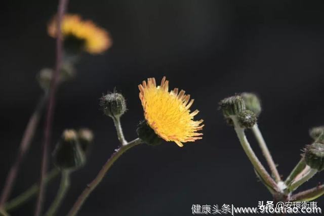 中医智慧：和舒服的人在一起，就是养生