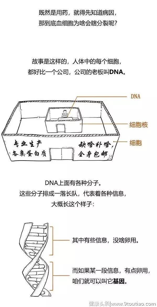 超强漫画科普：什么是白血病？