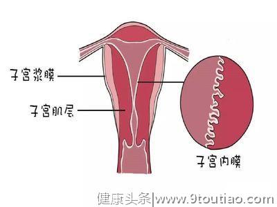 【别傻了!】有多少人认为子宫内膜它是固定厚度不变的?