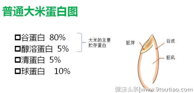 糖尿病人吃什么大米好，这种院士研究的大米既保肾又稳定血糖