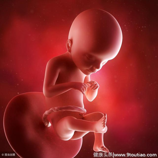 胎儿在子宫里长什么样？胎儿1-40周胎儿发育全过程，妈妈真伟大