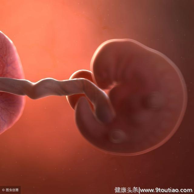 胎儿在子宫里长什么样？胎儿1-40周胎儿发育全过程，妈妈真伟大