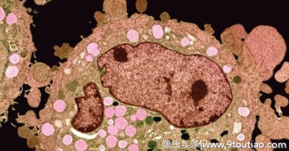 癌症免疫疗法研究新进展一览