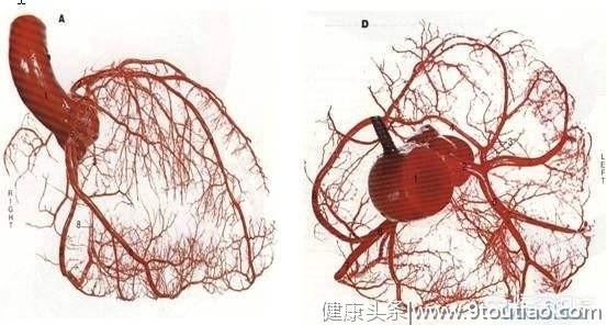 得了冠心病，能活多久？