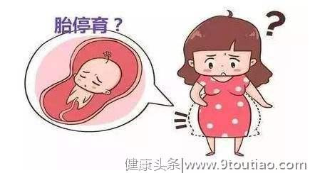 胎停育后多久可再次怀孕？如何预防胎儿停育，顺利分娩！