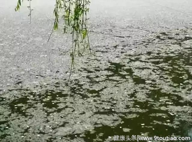 花粉柳絮≈阿嚏鼻塞……顶顶烦人的过敏性鼻炎，我该拿你怎么办？