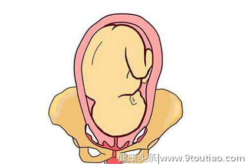 涨姿势：胎儿在子宫里的体位是如何变化的？