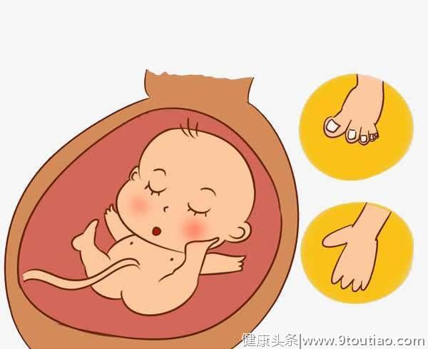 涨姿势：胎儿在子宫里的体位是如何变化的？