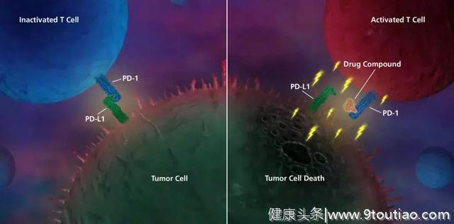 五年生存率翻三倍！哪些非小细胞肺癌患者可以使用PD-1？