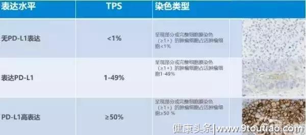 五年生存率翻三倍！哪些非小细胞肺癌患者可以使用PD-1？