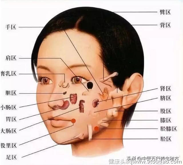 中医面诊的秘密：从脸部看五脏疾病！恕我直言，你不一定真的懂它